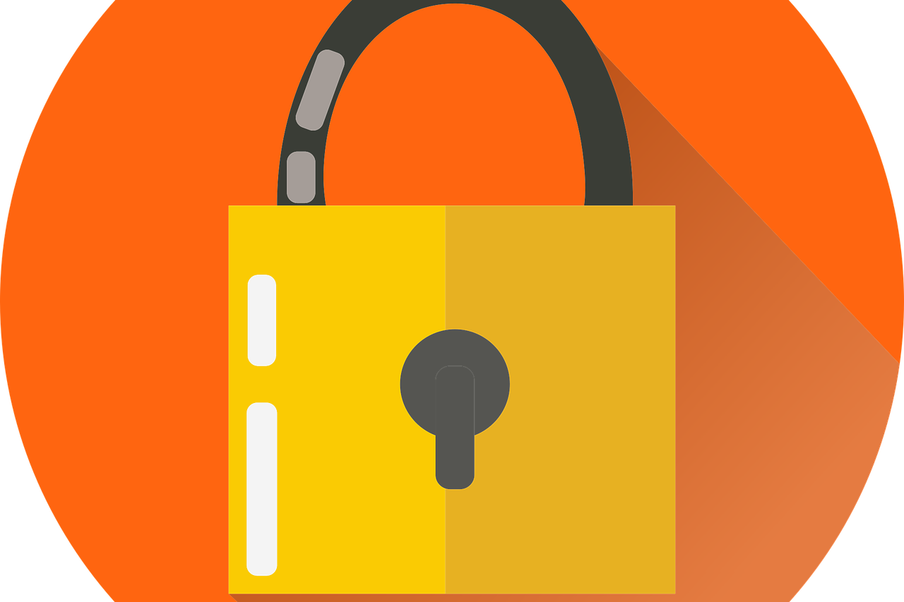 Free lock security key vector